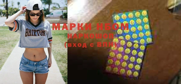 сатива Сатка