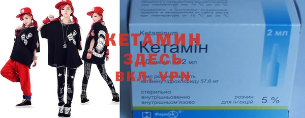сатива Сатка