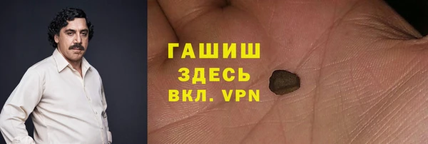 сатива Сатка