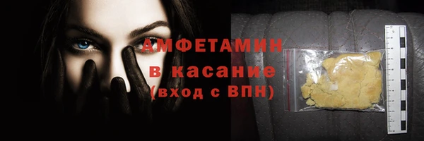 сатива Сатка