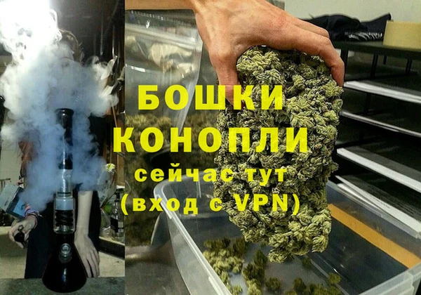 сатива Сатка