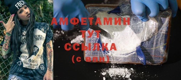 сатива Сатка