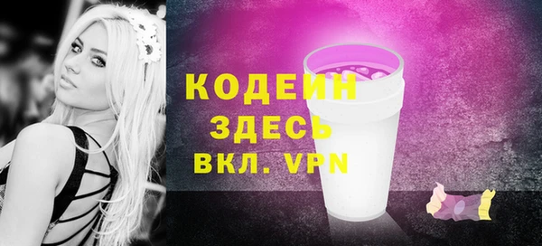 сатива Сатка